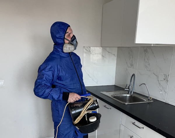 Дезинсекция в Димитровграде