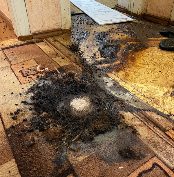 Уборка помещений после трупа в Димитровграде